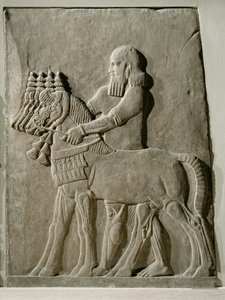 A Servant Leading the Royal Horses