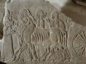 Assyrian soldiers with ox-cart leading Elamite prisoners of war to exile after the battle of Til Tuba