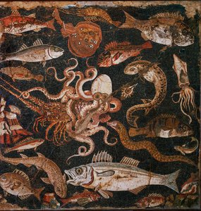 Submarine Fauna: Mosaic from Pompeii, Italy