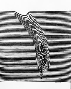 Zebra Optical Illusion by Erik Van Velzen