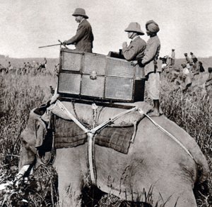 George V Hunting in Nepal (1911)