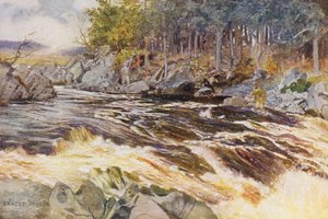 Salmon fishing on the Ken, a critical moment