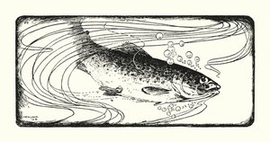 Salmon Hooked