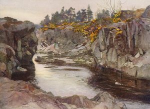The gorge below the Linn by Ernest Edward Briggs