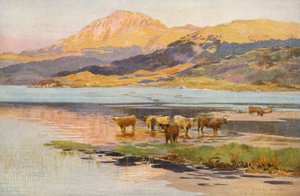 The head of Loch Quoich, evening