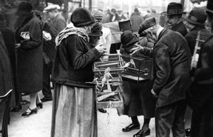 A Group of Buyers of Canaries, Paris