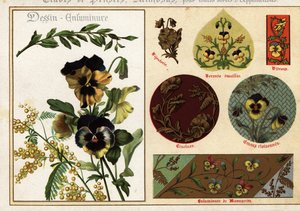 Images of Pansies and Mimosa from Manuscripts and Their Application by Ernest Guillot