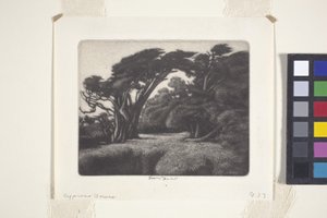 Cypress Bower by Ernest Haskell