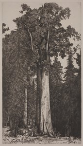 General Sherman by Ernest Haskell