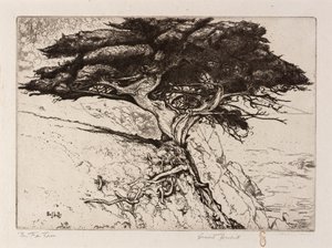 The Fan Tree by Ernest Haskell