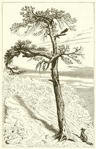 The Fox and the Crew by Ernest Henry Griset
