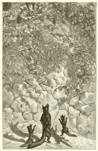 The Fox and the Grapes by Ernest Henry Griset
