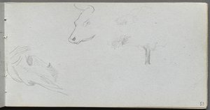Sketchbook, Page 53: Animal Studies and Tree Study