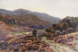 By Broomy Water by Ernest William Haslehust