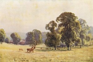 Cobham Park by Ernest William Haslehust