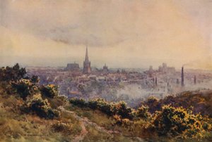 Norwich from Mousehold Heath by Ernest William Haslehust
