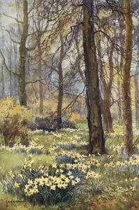 The Wilderness in Spring by Ernest William Haslehust