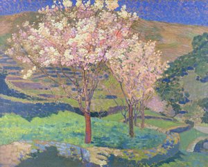 Trees in Blossom with Terraces
