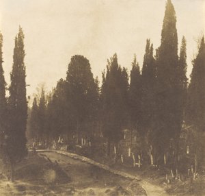 Turkey: Scutari Cemetery, 1852 by Ernest de Caranza