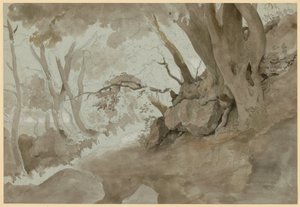 Tree and Rock Study