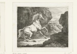 Bouncing White Stallion