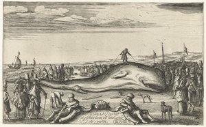 Stranded Sperm Whale on the Beach at Noordwijk, 1614