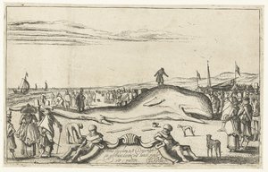 Stranded Whale on the Beach at Noordwijk, 1614