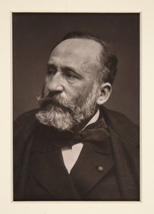 Portrait of Pierre Puvis de Chavannes (1824-1898) by Etienne Carjat
