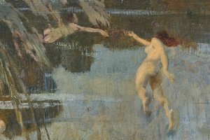 The nymphs