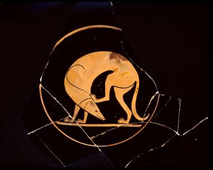 Attic Red-Figure Cup of Dog Scratching His Ear with a Hindleg, Inside Tondo by Euergides painter