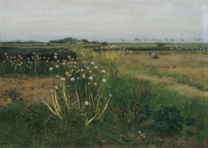 Blooming Onion Field by Eugen Jettel