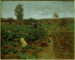 Pumpkin Field by Eugen Jettel