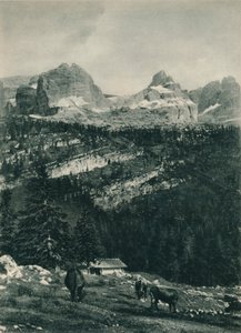 View of the Brenta Group with Alpine Pasture, Madonna di Campiglio, Dolomites, Italy