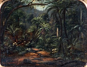 Ferntree Gully in the Dandenong Ranges by Eugen von Guerard