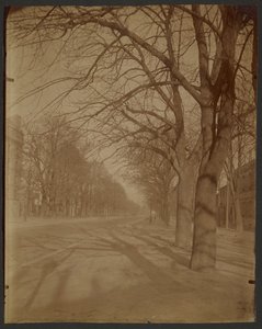 Avenue of the Observatory, 14th District by Eugène Atget