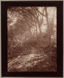 Park of Sceaux by Eugène Atget