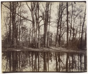 Saint-Cloud (gardens of the chateau of Philippe Duc d