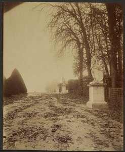 Versailles, the Park (Avenue in the Park at Versailles) by Eugène Atget