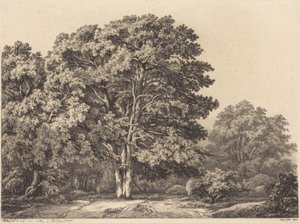 Entrance to a Forest by Eugene Bléry