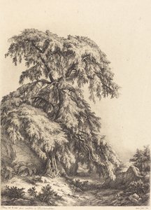 Juniper Tree by Eugene Bléry