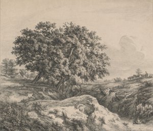 Oak Tree by a Ravine, 1845