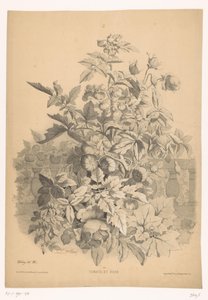 Tomatoes and Roses by Eugene Bléry