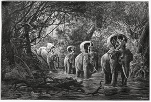 On the way into the forest, the expedition travels on the back of an elephant. Engraving by Eugene Burnand, to illustrate the story Journey in Upper Laos, in 1880, by Dr. P.Neis. Published in Le Tour du monde, nouveau journal des voyages, 2nd semester 1880 by Eugene Burnand