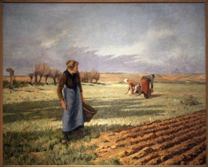 Picking Dandelions