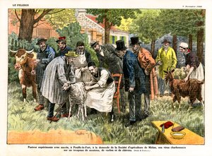 Louis Pasteur Experiments with His Anthrax Virus by Eugene Damblans