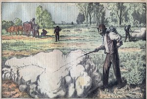 The Destruction of the Mulots (Apodemus) by Asphyxiating Gas in the Dawn - Engraving by Damblans - Le Pelerin of 1923 by Eugene Damblans