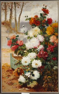 Chrysanthemums in a Walled Garden
