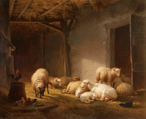 A Sunlit Barn with Ewes, Lambs and Chickens