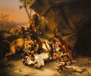 Combat of Tigers and Lions
