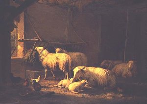 Sheep and Poultry in a Barn by Eugene Joseph Verboeckhoven